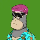 ChilledKong4648