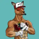 kangaroofightsociety#877