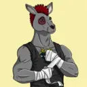 kangaroofightsociety#3969
