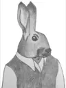 MrRabbit