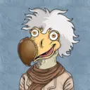 DoDo #2668