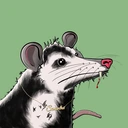 Possum #357