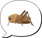 ST1_dzc:'nw<}$v2zR