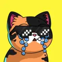 crycat2161