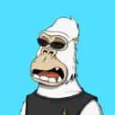 ChilledKong5474