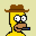 HomerPunks5314