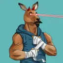 kangaroofightsociety#672