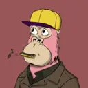 ChilledKong2372