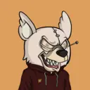 SavageBears2940