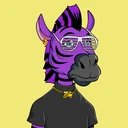 ZESTYZEBRA3034