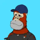 ChilledKong4338
