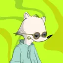 RacoonsNew2547
