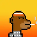 MonkeyWifhat2742