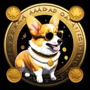 Corgidano3