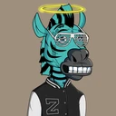 ZESTYZEBRA1098