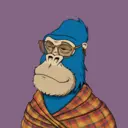 ChilledKong8616