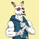 kangaroofightsociety#4949