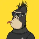ChilledKong5595