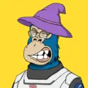 ChilledKong5637