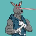 kangaroofightsociety#570