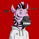 ZESTYZEBRA3892