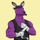 kangaroofightsociety#2323