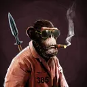 adapeBaronAmato