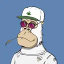 ChilledKong3009