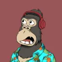 ChilledKong7143