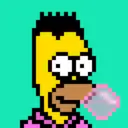 HomerPunks6176