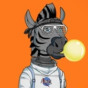 ZESTYZEBRA3460