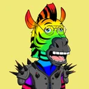 ZESTYZEBRA4481