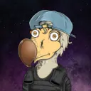 DoDo #2251