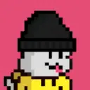 pixel seal 2490