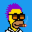HomerPunks8457