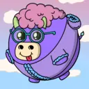 Bubulls1369