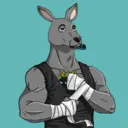kangaroofightsociety#3345