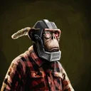 adapeWylieMaddock