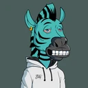 ZESTYZEBRA1202