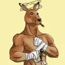 kangaroofightsociety#2091