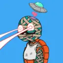 TTSTurtle3257