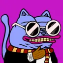 CHONKS3678