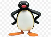 PENGU