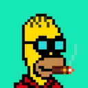 HomerPunks3956