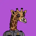 GenuineGiraffe_3492