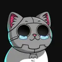 crycat121