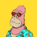 ChilledKong3623