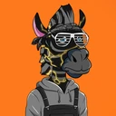 ZESTYZEBRA1349