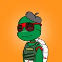 TTSTurtle3793