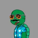 TTSTurtle746
